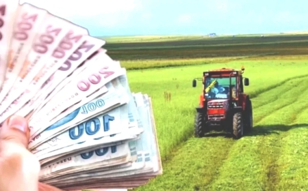 Çiftçilere müjde! Zirai don desteği Resmî Gazete’de yayımlandı